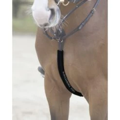 Schockemöhle Body Guard Vorderzeug Espresso -Pferdebedarf Verkauf 1160 00001 schoner bodyguard black.f9bc40 1