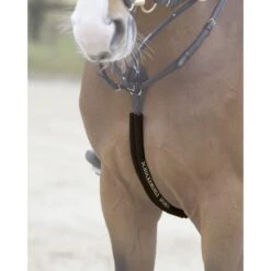 Schockemöhle Body Guard Vorderzeug Espresso -Pferdebedarf Verkauf 1160 00001 schoner bodyguard espresso.acb5cb 1