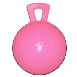 Jolly Ball Spielball Hellblau 25cm -Pferdebedarf Verkauf 4000716.48fde6 2