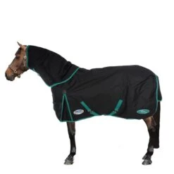 Weatherbeeta Winterdecke Green-Tec 900D Detach-A-Neck Heavy 360g Schwarz/Grün 125/175 -Pferdebedarf Verkauf 44736426.9f1a49