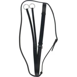 Aviemore Martingal Schwarz