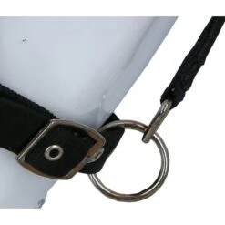 Harry's Horse Fliegenmaske Halfter Mit Ohren -Pferdebedarf Verkauf agradi 445904032 5.6f115e