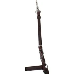 Passier Vorderzeug Ingrid Klimke Havanna/Silber -Pferdebedarf Verkauf agradi 44709656 4.5059e2