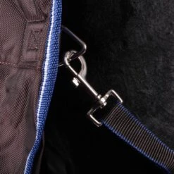 Weatherbeeta Winterdecke Comfitec Ultra Cozi II Detach-A-Neck Medium/Lite Charcoal/Blau/Weiß 21 Weatherbeeta Winterdecke Comfitec Ultra Cozi II Detach-A-Neck Medium/Lite Charcoal/Blau/Weiß -Pferdebedarf Verkauf agradi 44873958 7.901b5a