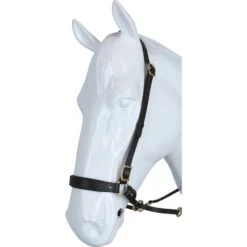 F.R.A. Gebisslose Trense Janosch Braun -Pferdebedarf Verkauf agradi 44874768 2.886f7e