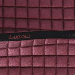 Lami-Cell Schabracke Sparkling Dressur Champagne Warmblut -Pferdebedarf Verkauf agradi 44959089 6.4f10c1