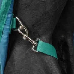 Weatherbeeta Winterdecke Green-Tec Heavy 1200D Abnehmbarer Hals Dragonfly Blue/Bottle Green -Pferdebedarf Verkauf agradi 45120294 9.754497