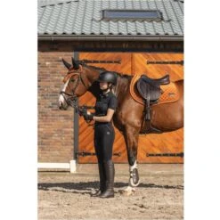 ANKY Schabracke Velvet Stones Springen Steel Grey Warmblut -Pferdebedarf Verkauf anky a16562 n119 41.1c6cf0