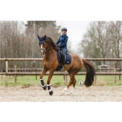 ANKY Fliegenhaube Leafs Port Royale -Pferdebedarf Verkauf anky a37423 l011 43.f6b312