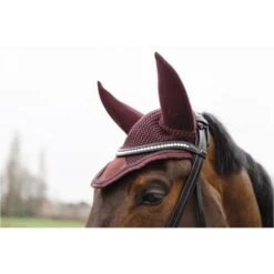 ANKY Fliegenhaube Leafs Port Royale -Pferdebedarf Verkauf anky a37423 r121 42.54e140