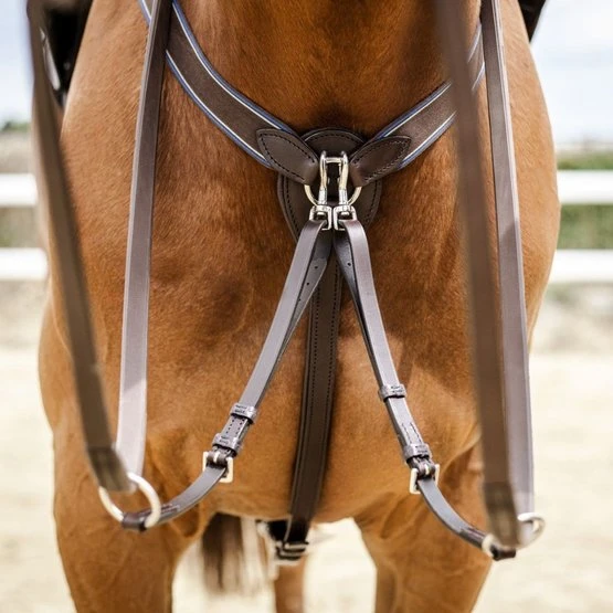 Stübben Martingal Mit Gummizug Ebony Braun/Ebony Braun Vollblut 3 Stübben Martingal Mit Gummizug Ebony Braun/Ebony Braun Vollblut