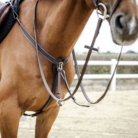 Stübben Martingal Mit Gummizug Ebony Braun/Ebony Braun Vollblut 4 Stübben Martingal Mit Gummizug Ebony Braun/Ebony Braun Vollblut - Image 2