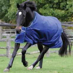 Bucas Turnout Smartex Medium 150g Iron Gate -Pferdebedarf Verkauf bu 62015 02.7f3e05