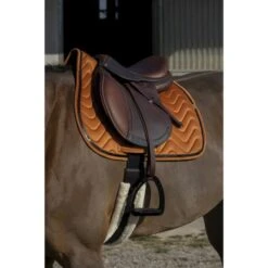 EQUITHÈME Schabracke Glossy Vielseitig Altrosa Warmblut -Pferdebedarf Verkauf ekkia 204 761 022 ambi1.a04797