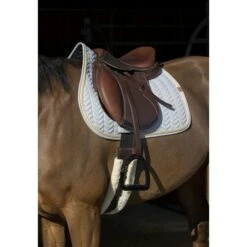 EQUITHÈME Schabracke Softy Jumping Hellblau Warmblut -Pferdebedarf Verkauf ekkia 204 763 021 ambi1.92f2ec