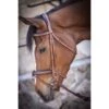 PÉNÉLOPE Pénélope Trense US Haselnuss Warmblut 2 PÉNÉLOPE Pénélope Trense US Haselnuss Warmblut -Pferdebedarf Verkauf ekkia 301603317.fa5e3a