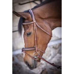 PÉNÉLOPE Pénélope Trense US Haselnuss Warmblut