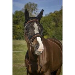 EQUITHÈME Fliegenmaske Anti-UV Training Schwarz -Pferdebedarf Verkauf ekkia 306 920 203 ambi1.680f64