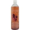 Officinalis Shampoo Rapsberry & Red Mulberry 500ml -Pferdebedarf Verkauf ekkia 709 004.02dc99