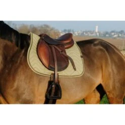 EQUITHÈME Schabracke Chevron Springen Grau Warmblut -Pferdebedarf Verkauf ekkia equitheme chevron sjabrak 6.7b6b13