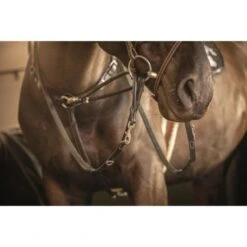 PÉNÉLOPE Penelope Zügel Howlett Leder Schwarz Warmblut -Pferdebedarf Verkauf ekkia penelope howlett teugels 7.c162ae