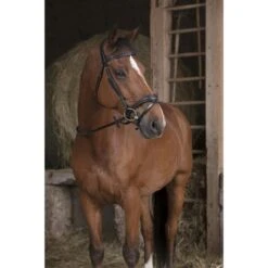 Norton Zügel Breiter Gummi Havanna Warmblut -Pferdebedarf Verkauf ekkia z06059 305 639 002 ambi1.ec18c7