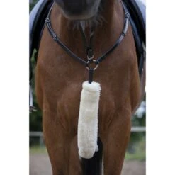 EQUITHÈME Brustgeschirr Fellschutz Teddy Ecru Warmblut -Pferdebedarf Verkauf ekkia z06952 207 503 301 ambi.9606c4 1