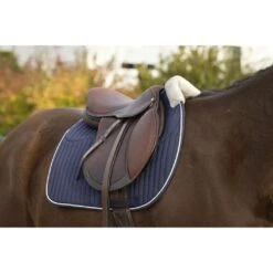 EQUITHÈME Schabracke Teddy Vielseitigkeit Schwarz Warmblut -Pferdebedarf Verkauf ekkia z07131 204 730 007 ambi2.5878b4