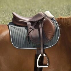 EQUITHÈME Schabracke Teddy Vielseitigkeit Schwarz Warmblut -Pferdebedarf Verkauf ekkia z07131 204 730 009 ambi.546dbe