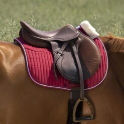 EQUITHÈME Schabracke Teddy Vielseitigkeit Schwarz Warmblut -Pferdebedarf Verkauf ekkia z07131 204 730 033 ambi.82de30