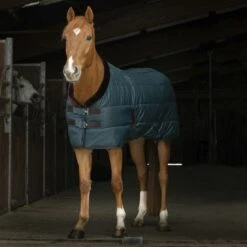 EQUITHÈME Stalldecke Teddy 200g Navy -Pferdebedarf Verkauf ekkia z07134 400 808 863 ambi1.1096a4