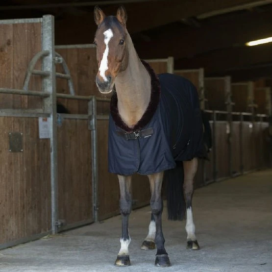 EQUITHÈME Cooler Teddy Navy 22 EQUITHÈME Cooler Teddy Navy - Image 20