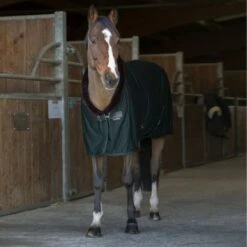 EQUITHÈME Cooler Teddy Navy 33 EQUITHÈME Cooler Teddy Navy -Pferdebedarf Verkauf ekkia z07970 400 743 863 ambi1.c17fe3