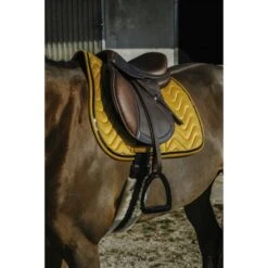 EQUITHÈME Schabracke Glossy Vielseitig Altrosa Warmblut -Pferdebedarf Verkauf ekkia z08296 204 761 010 ambi1.2e31c6