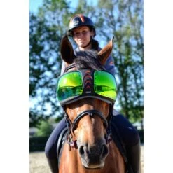 EQuick Brillengläser For EVysor Orange One Size -Pferdebedarf Verkauf eq mirrored green.c0e475