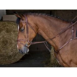 Eric Thomas Brustgeschirr Hybrid Warmblut