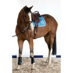 Harcour Schabracke Siriel Springen Violett Warmblut -Pferdebedarf Verkauf harcour siriel baby blue 2.36abe6 1