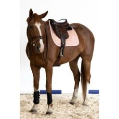 Harcour Schabracke Siriel Springen Blau Warmblut -Pferdebedarf Verkauf harcour siriel baby pink 2.16af91