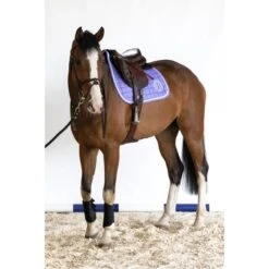 Harcour Schabracke Siriel Springen Violett Warmblut -Pferdebedarf Verkauf harcour siriel violet 2.41513c