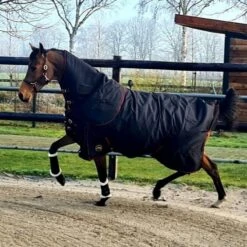 HB Outdoordecke Model Kentucky Abnehmbarer Hals 300g Schwarz -Pferdebedarf Verkauf hb 1413.d639a9