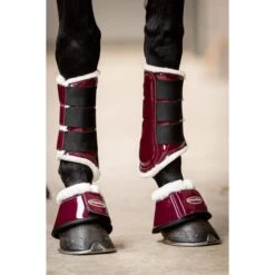 HB Ruitersport Beinschutz Crown Forest-Green -Pferdebedarf Verkauf hb 230 cherry.ef3a0f