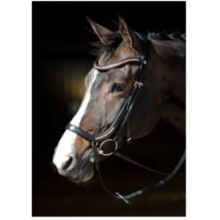 Harry's Horse Trense Anatomisch Schwarz -Pferdebedarf Verkauf hh 28000051 zwart 1.01e2df