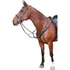 Harry's Horse Elastisches Vorderzeug Schwarz -Pferdebedarf Verkauf hh 28300070 zwart 3.c1a5d8