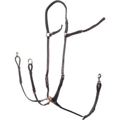 Harry's Horse Brustgeschirr Rosegold Schwarz 8 Harry's Horse Brustgeschirr Rosegold Schwarz -Pferdebedarf Verkauf hh 28300072 bruin.84a35b