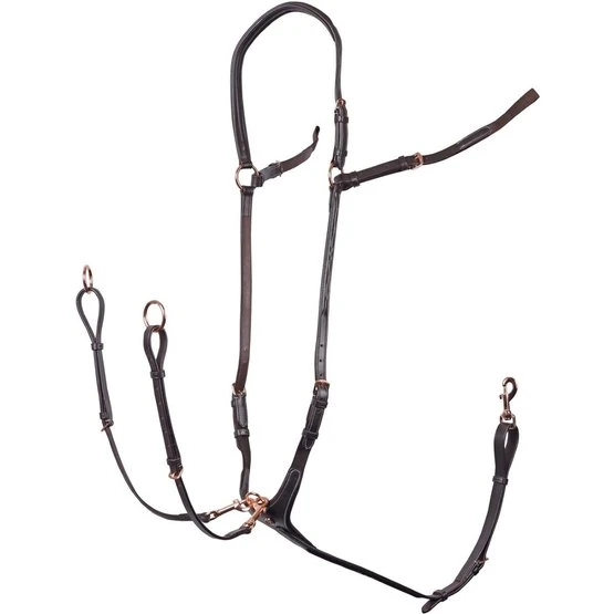 Harry's Horse Brustgeschirr Rosegold Schwarz 5 Harry's Horse Brustgeschirr Rosegold Schwarz - Image 3