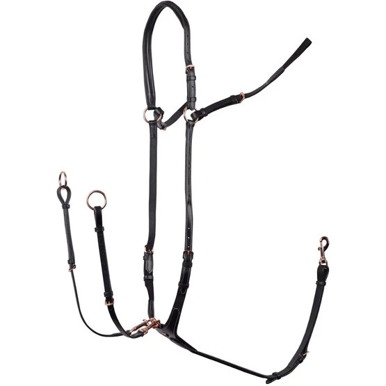 Harry's Horse Brustgeschirr Rosegold Schwarz 3 Harry's Horse Brustgeschirr Rosegold Schwarz