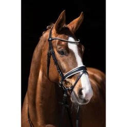 HKM Zaum Flora Braun 7 HKM Zaum Flora Braun -Pferdebedarf Verkauf hkm 11474 1.eedb2d