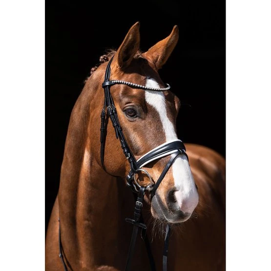 HKM Zaum Flora Braun 5 HKM Zaum Flora Braun - Image 3