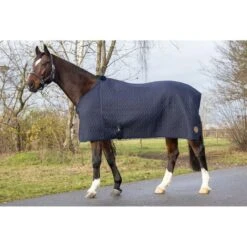 HKM Abschwitzdecke Natura Dunkelgrün -Pferdebedarf Verkauf hkm 12668 4.74fd2c