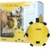 Maximus Ball Fun Play Gelb -Pferdebedarf Verkauf hof 277112.b3d318 4